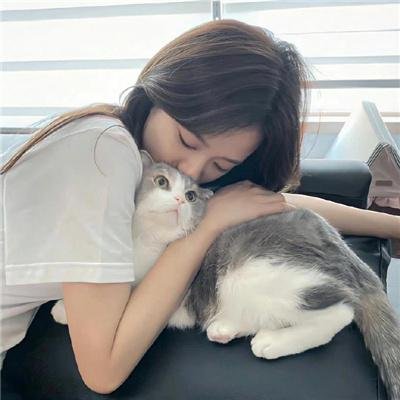 钢木兰